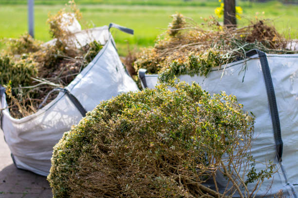 Best Affordable Junk Removal Services  in Oregon, IL